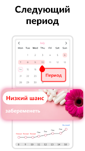 календарь менструаций и цикл