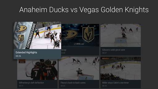 Hockey Highlights Screen 2
