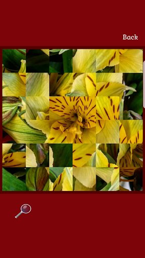 Time to Puzzle Premium