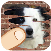 Top 46 Trivia Apps Like Dog breeds, scratch and guess which one is hiden - Best Alternatives