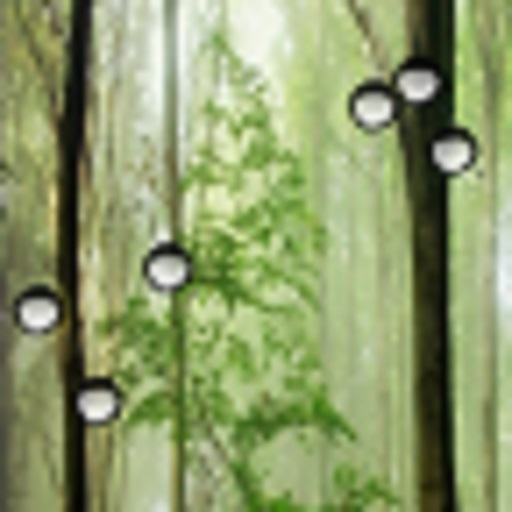 RainDrops Live Wallpapers