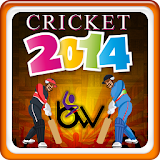 cricket 2014 icon