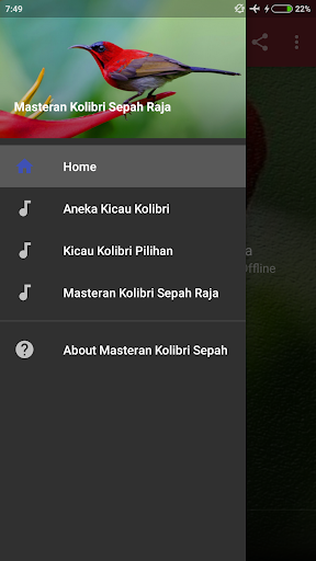 Android application Masteran Burung Kolibri Sepah screenshort