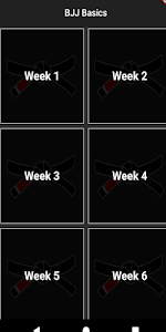 BJJ Basics Unknown