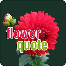 Flowers Quote