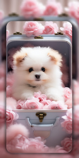 Android application Dog Wallpaper & Cute Puppy 4K screenshort