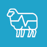 Sheep AR icon