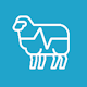 Sheep AR Download on Windows