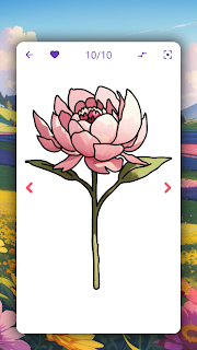 How to draw flowers by steps