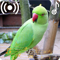 Icon image Parrot Sounds Ringtone