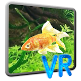 Goldfish VR for Cardboard icon