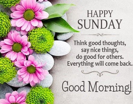 Android application Good Morning Evening and Night screenshort