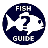 Fishing Guide icon