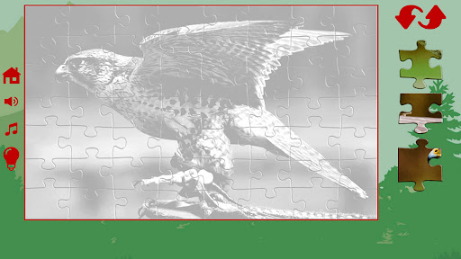 Puzzles for adults animals