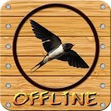 Swallow caller 100% offline icon