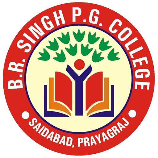 BR Singh PG College 1.0 Icon