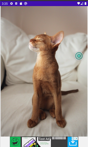 Cat&Dog Pictures Screen 3