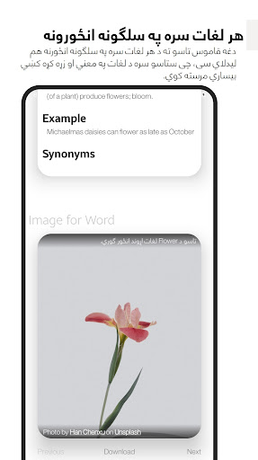Pashto Smart Dictionary Screen 3