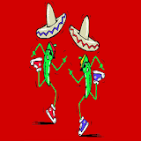 Burrito Factory AK icon