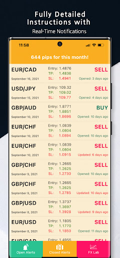 Forex Alerts: Live & Daily For Screen 2