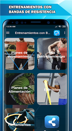 Vista previa de la aplicación