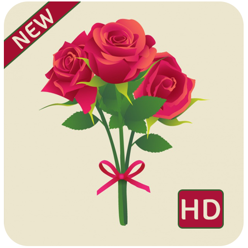 صور وخلفيات ورد رائعة بدون نت التطبيقات على Google Play