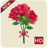rose hd wallpapers 1080p icon