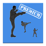 Street Kicker Workout PRO icon