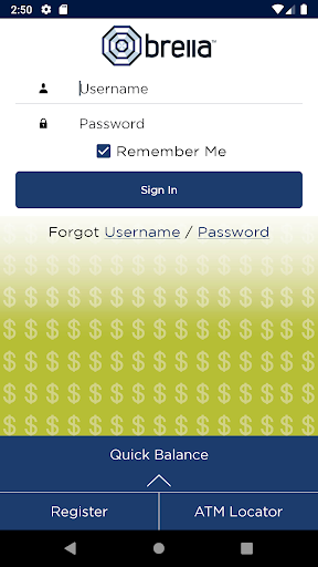 Screenshot of Brella – Card Manager