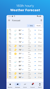 Weather for Wear OS 5