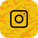 Bird Photo Editor icon