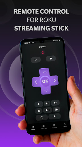 My TV Remote Roku Control Cast