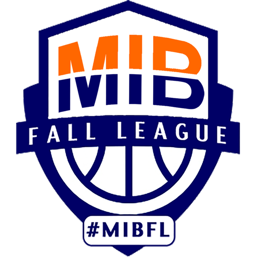 Metro Indy Basketball logo