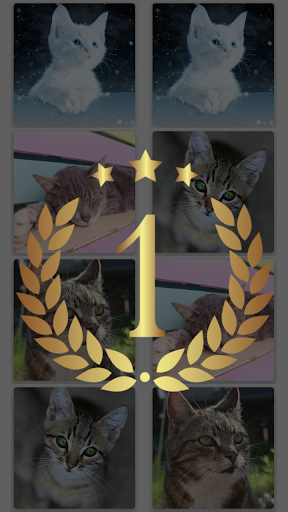 MemoCats Screen 2