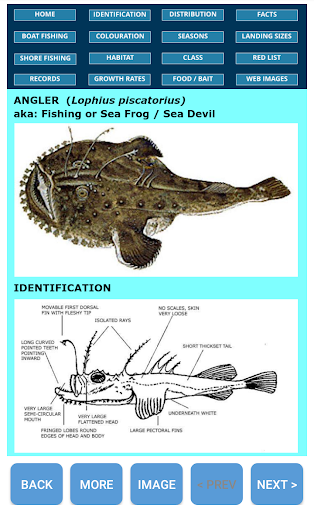 Fish - O - Fax Screen 3
