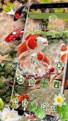 Koi fish themesのおすすめ画像3