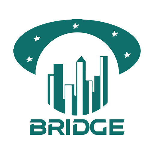 Moon Nation Bridge (MNB) logo