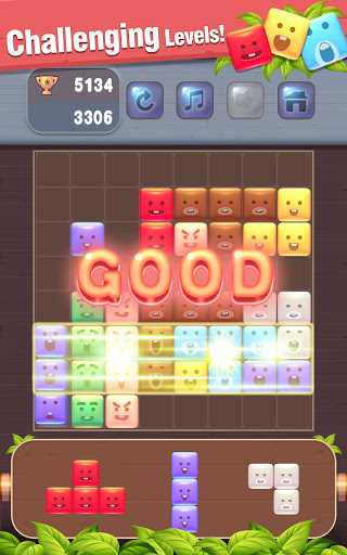 BT Block Puzzle  screenshots 4