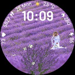 Lavender and Butterflies - Screenshot Image