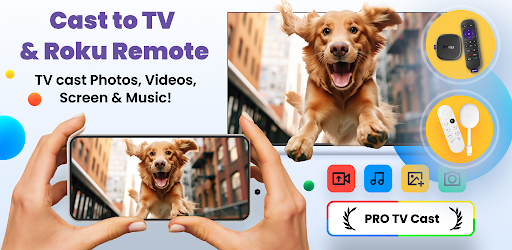 Cast to Chromecast: Web Caster