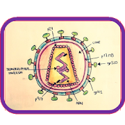 Test Enfermedades Infecciosas