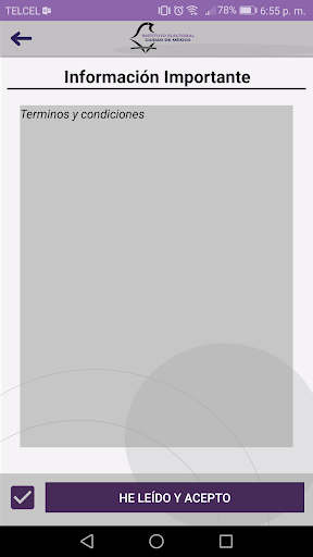 IECM Sistema Electrónico (SEI) Screen 3