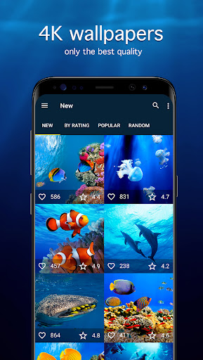 Underwater Wallpapers PRO Screen 2