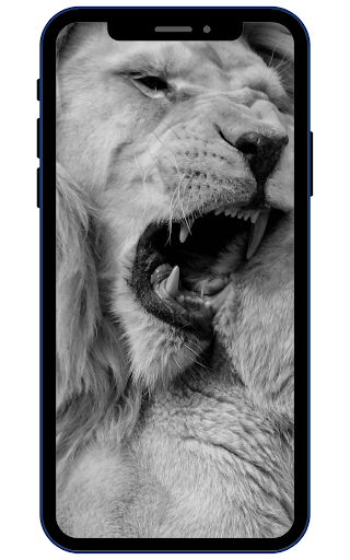 White Lion Wallpapers Screen 2