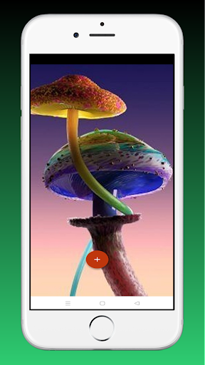 Mushroom Live Wallpaper 3D Screenshot 4 - AppWisp.com