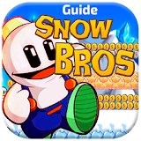 guide for Snow Bros icon