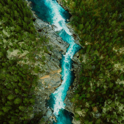 WallNature | Amazing 4K Photos logo