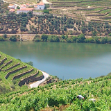 Douro and Port wine icon