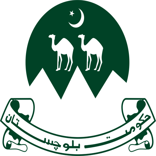 Digital Citizen Balochistan logo