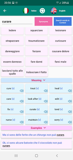 Italian Verb Conjugation Screen 3